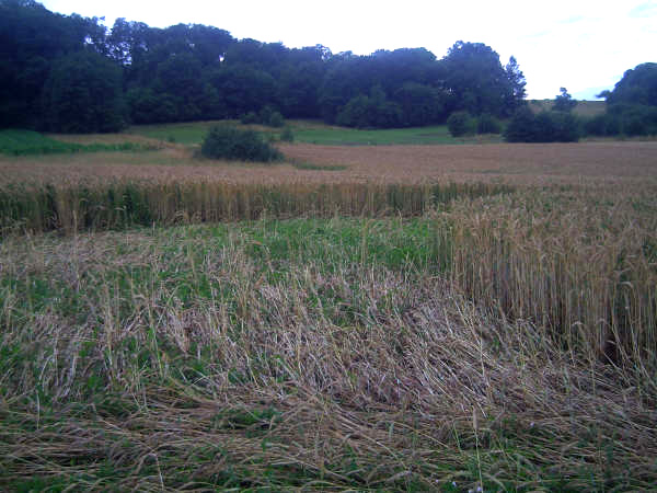 Sarraltroff, France crop circle, aerial photo 6