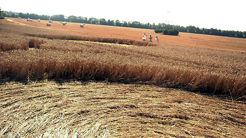 Valence (Drôme, South-East of France), France crop circle, aerial photo 3