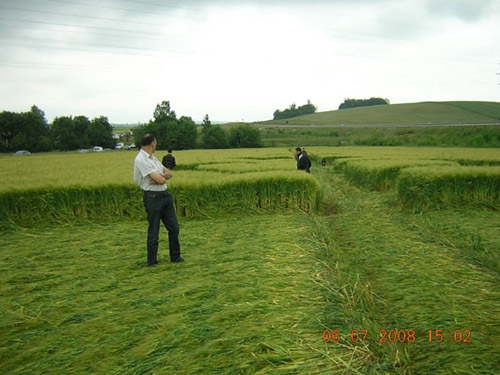 à Marly, nr Metz (57), France crop circle, aerial photo 7