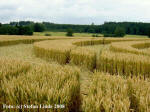 Wyler, Nordrhein-Westfalen, Germany crop circle, aerial photo 5