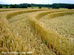 Wyler, Nordrhein-Westfalen, Germany crop circle, aerial photo 7