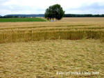 Wyler, Nordrhein-Westfalen, Germany crop circle, aerial photo 11