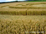 Wyler, Nordrhein-Westfalen, Germany crop circle, aerial photo 6