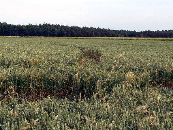 Gifkendorf, Niedersachsen (Lower Saxony), Germany crop circle, aerial photo 6