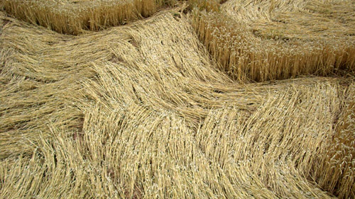 Hausen/Hann, Germany crop circle, aerial photo 8
