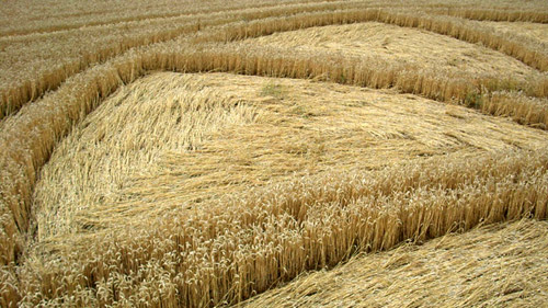 Hausen/Hann, Germany crop circle, aerial photo 7