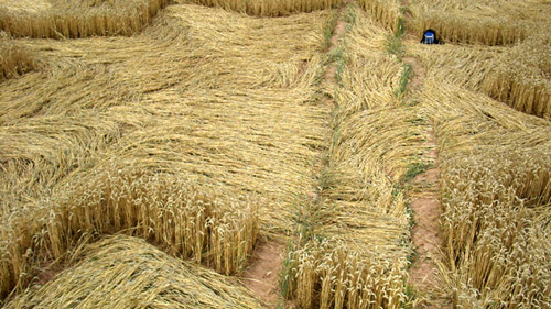 Hausen/Hann, Germany crop circle, aerial photo 6