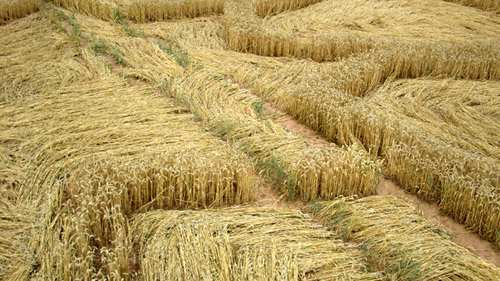 Hausen/Hann, Germany crop circle, aerial photo 5