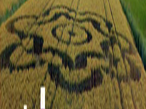 Lignano Sabbiadoro (Udine), Italy crop circle, aerial photo 2