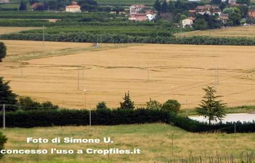 Lizzano, Forlì), Italy crop circle, aerial photo 6