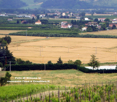 Lizzano, Forlì), Italy crop circle, aerial photo 7