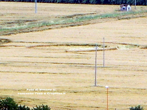 Lizzano, Forlì), Italy crop circle, aerial photo 8