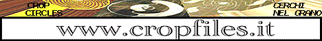 Montaldo Roero (Cuneo), Italy crop circle, aerial photo 2