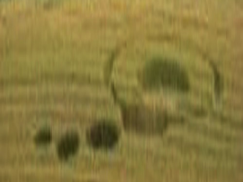 Montaldo Roero (Cuneo), Italy crop circle, aerial photo 3