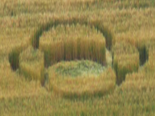 Ravinali, Roddi (Cuneo), Italy crop circle, aerial photo 2