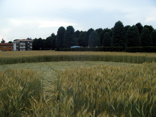 Varedo, near Milan, Italy crop circle, aerial photo 2