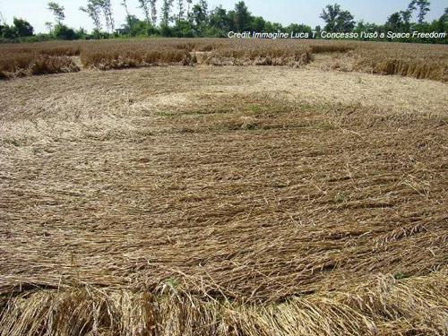 Villanova D'Asti, Piemonte, Italy crop circle, aerial photo 4