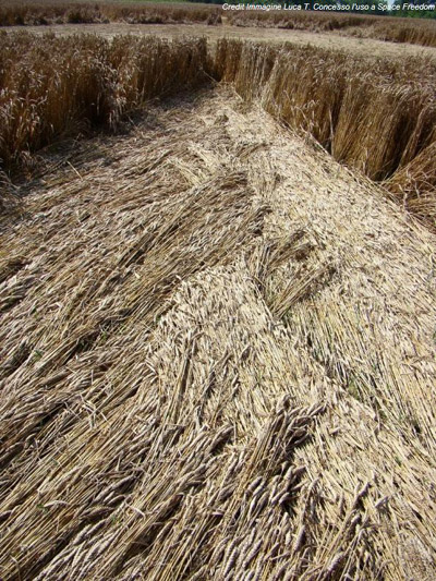 Villanova D'Asti, Piemonte, Italy crop circle, aerial photo 5