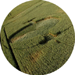 Pierwszy sygnał pochodzi z Nieznanowic, Poland crop circle, aerial photo 4