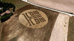 Crop patterns at Montes Bandera, Bilbao, Spain crop circle, aerial photo 8