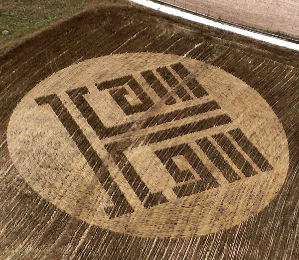 Crop patterns at Montes Bandera, Bilbao, Spain crop circle, aerial photo 2