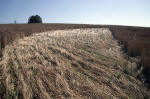 Crop patterns at Montes Bandera, Bilbao, Spain crop circle, aerial photo 11