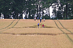 Morrens, nr Lausanne, Switzerland crop circle, aerial photo 8