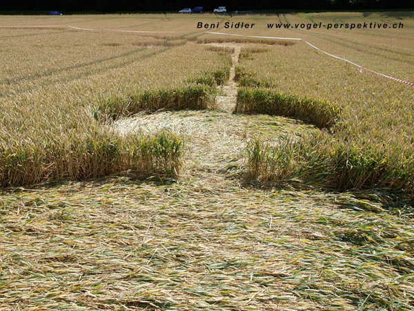 Morrens, nr Lausanne, Switzerland crop circle, aerial photo 4