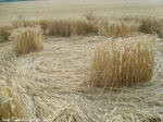Crop Circle Behind the fortified farm of Freloux, Belgium crop circle, aerial photo 5