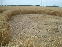 Crop Circle Behind the fortified farm of Freloux, Belgium crop circle, aerial photo 6