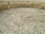 Crop Circle Behind the fortified farm of Freloux, Belgium crop circle, aerial photo 7