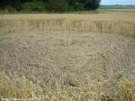 Crop Circle Behind the fortified farm of Freloux, Belgium crop circle, aerial photo 19