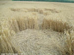 Crop Circle Behind the fortified farm of Freloux, Belgium crop circle, aerial photo 14