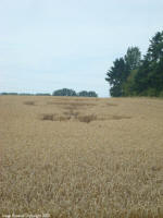 Crop Circle Behind the fortified farm of Freloux, Belgium crop circle, aerial photo 8
