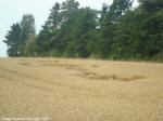 Crop Circle Behind the fortified farm of Freloux, Belgium crop circle, aerial photo 12