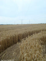 Crop Circle Behind the fortified farm of Freloux, Belgium crop circle, aerial photo 13