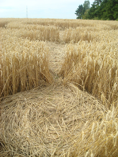 Crop Circle Behind the fortified farm of Freloux, Belgium crop circle, aerial photo 25