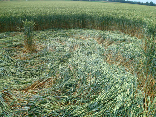 Crop Circle Behind the fortified farm of Freloux, Belgium crop circle, aerial photo 24