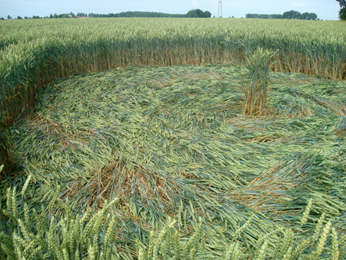 Crop Circle Behind the fortified farm of Freloux, Belgium crop circle, aerial photo 23