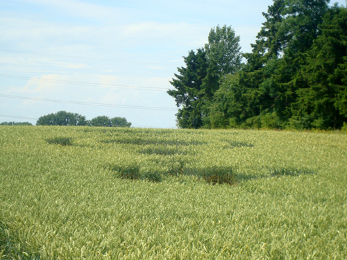 Crop Circle Behind the fortified farm of Freloux, Belgium crop circle, aerial photo 20