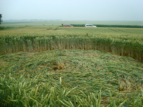 Crop Circle Behind the fortified farm of Freloux, Belgium crop circle, aerial photo 22