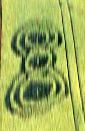 Momalle et Fexhe-Le-Haut-Clocher, Belgium crop circle, aerial photo 2