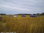 Crop Circle Stettler, Alberta, Canada crop circle, aerial photo 10