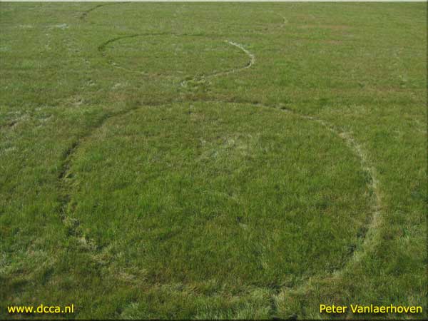Hoeven (3), Noord Brabant, Netherlands crop circle, aerial photo 6