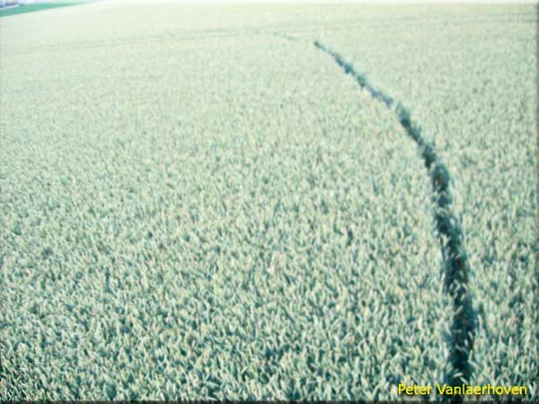 Standaardbuiten (2), Noord Brabant, Netherlands crop circle, aerial photo 4
