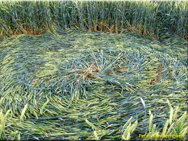 Standaardbuiten (2), Noord Brabant, Netherlands crop circle, aerial photo 3
