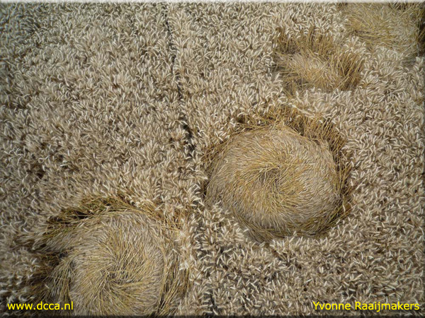 Zevenbergen, Noord Brabant, Netherlands crop circle, aerial photo 3
