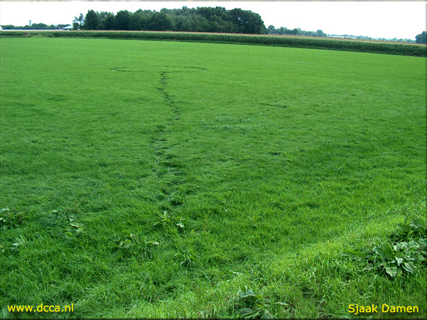 Hoeven, Noord Brabant, Netherlands crop circle, aerial photo 3
