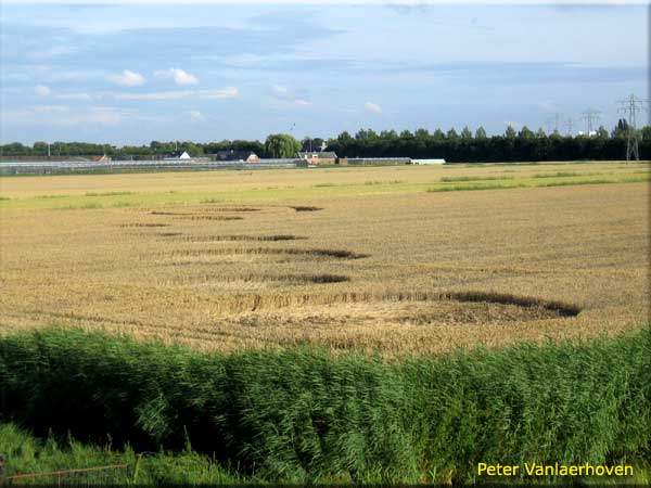 Ridderkerk, Netherlands crop circle, aerial photo 2