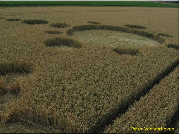Standaardbuiten (3), Noord Brabant, Netherlands crop circle, aerial photo 11
